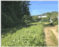  2025Ÿ��12343 �泲 õ�Ƚ� ������ ��õ�� ������ 19     ����(��1)���