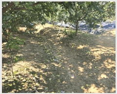  2025Ÿ��12343 �泲 õ�Ƚ� ������ ��õ�� ������ 19     ����(��1)���