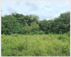  2025Ÿ��12352 �泲 �ƻ�� ��ġ�� ��û�� 263      ����(����)���