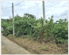  2025Ÿ��12352 �泲 �ƻ�� ��ġ�� ��û�� 263      ����(����)���