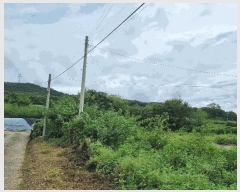  2025Ÿ��12352 �泲 �ƻ�� ��ġ�� ��û�� 263      ����(����)���