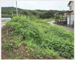  2025Ÿ��12352 �泲 �ƻ�� ��ġ�� ��û�� 263      ����(����)���