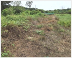  2025Ÿ��12352 �泲 �ƻ�� ��ġ�� ��û�� 263      ����(����)���