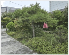  2025Ÿ��12396 �泲 õ�Ƚ� ���ϱ� �ֿ뵿 411-1      �ٸ��ü�,�󰡰��