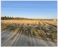  2025Ÿ��12580 �泲 �ƻ�� ����� ���ɸ� 917      ����(��)���