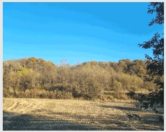  2025Ÿ��12649 �泲 õ�Ƚ� ������ ���Ÿ� ������ 288     ����(��1)���