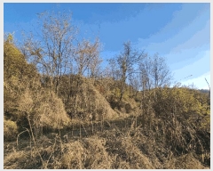  2025Ÿ��12649 �泲 õ�Ƚ� ������ ���Ÿ� ������ 288     ����(��1)���