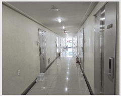  2025Ÿ391 泲 õȽ ϱ  1453 ĳ 8802ȣ    Ȱð