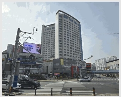  2025Ÿ423 泲 õȽ ϱ ֿ뵿 210-21 õȶ󸶴پڸȣ 21üȣ    ǽڰ