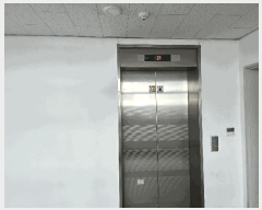  2025Ÿ423 泲 õȽ ϱ ֿ뵿 210-21 õȶ󸶴پڸȣ 21üȣ    ǽڰ