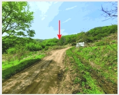  2025Ÿ��460 �泲 õ�Ƚ� ������ �ȼ��� ��98-89      ����(�Ӿ�)���