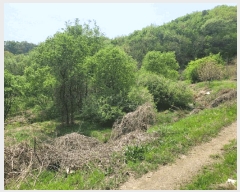  2025Ÿ��460 �泲 õ�Ƚ� ������ �ȼ��� ��98-89      ����(�Ӿ�)���