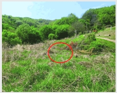  2025Ÿ��460 �泲 õ�Ƚ� ������ �ȼ��� ��98-89      ����(�Ӿ�)���