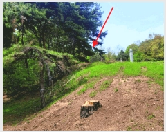  2025Ÿ��460 �泲 õ�Ƚ� ������ �ȼ��� ��98-89      ����(�Ӿ�)���