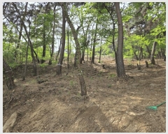  2025Ÿ��460 �泲 õ�Ƚ� ������ �ȼ��� ��98-89      ����(�Ӿ�)���