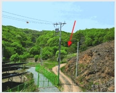  2025Ÿ��460 �泲 õ�Ƚ� ������ �ȼ��� ��98-89      ����(�Ӿ�)���