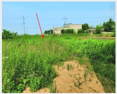  2025Ÿ��506 �泲 �ƻ�� ������ �ž縮 259-38      ����(�Ӿ�)���