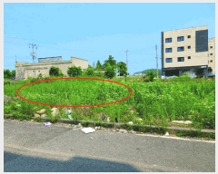  2025Ÿ��506 �泲 �ƻ�� ������ �ž縮 259-38      ����(�Ӿ�)���