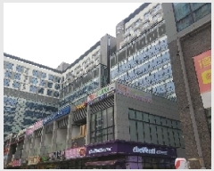  2025Ÿ��519  ����Ʈ��������