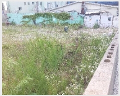  2025Ÿ��532 �泲 �ƻ�� ��õ�� 81-10       ����(��)���