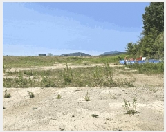  2025Ÿ��555  ����������