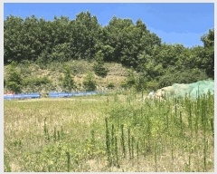  2025Ÿ��555  ����������