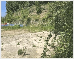  2025Ÿ��555  ����������