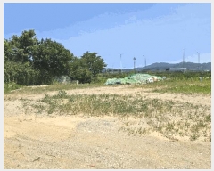  2025Ÿ��555  ����������