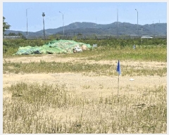  2025Ÿ��555  ����������