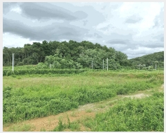  2025Ÿ��635  �����