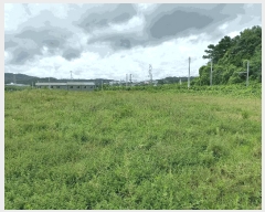  2025Ÿ��635  �����