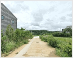  2025Ÿ��635  �����