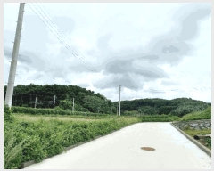  2025Ÿ��635  �����