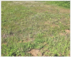  2025Ÿ��635  �����