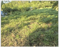  2025Ÿ��653 �泲 �ƻ�� ��ġ�� ���θ� 44-2      ����(��1)���