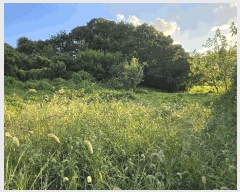  2025Ÿ��653 �泲 �ƻ�� ��ġ�� ���θ� 44-2      ����(��1)���