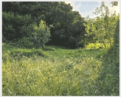  2025Ÿ��653 �泲 �ƻ�� ��ġ�� ���θ� 44-2      ����(��1)���