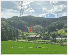  2025Ÿ��708 �泲 �ƻ�� ������ ������ 374      ����(��1)���