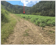  2025Ÿ��708 �泲 �ƻ�� ������ ������ 374      ����(��1)���