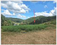  2025Ÿ��708 �泲 �ƻ�� ������ ������ 374      ����(��1)���