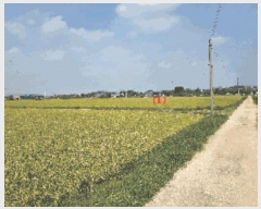  2025Ÿ��735  ����