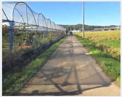  2025Ÿ��735  ����