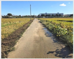  2025Ÿ��735  ����