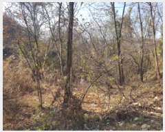  2025Ÿ��778 �泲 õ�Ƚ� ������ ��õ�� ��õ�� 42     ����(��)���