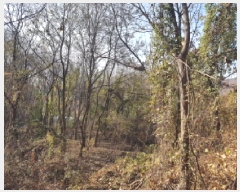  2025Ÿ��778 �泲 õ�Ƚ� ������ ��õ�� ��õ�� 42     ����(��)���