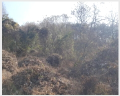  2025Ÿ��778 �泲 õ�Ƚ� ������ ��õ�� ��õ�� 42     ����(��)���