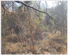  2025Ÿ��778 �泲 õ�Ƚ� ������ ��õ�� ��õ�� 42     ����(��)���