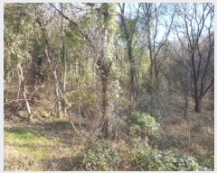  2025Ÿ��778 �泲 õ�Ƚ� ������ ��õ�� ��õ�� 42     ����(��)���