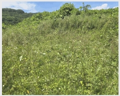  2025Ÿ��11232 �泲 õ�Ƚ� ������ �ϸ� ���ȸ� 121-1     ����(��1)���