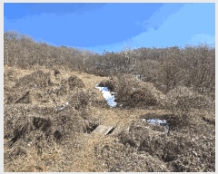  2025Ÿ��11232 �泲 õ�Ƚ� ������ �ϸ� ���ȸ� 121-1     ����(��1)���